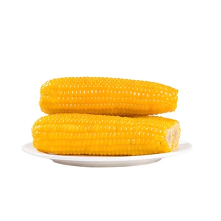 内蒙古半饱斋甜糯玉米非转基因生黄粘玉米13支家庭装0添加真空包