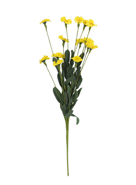 田园美式仿真拍照道具干花小雏菊