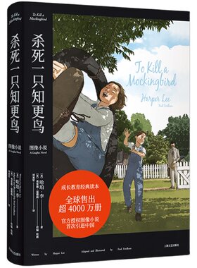 杀死一只知更鸟图像小说外国文学