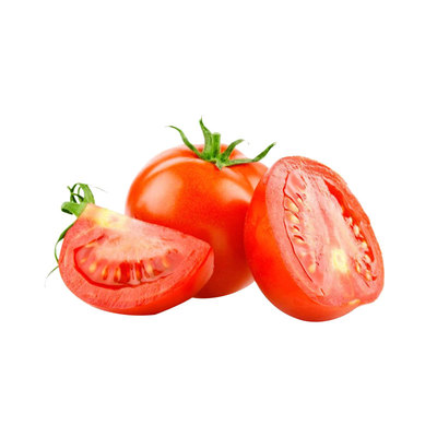 普罗旺斯西红柿种子果水果蕃茄子