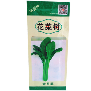 广东四九菜心种子四季播青菜苔种籽香甜油绿菜薹种子农家蔬菜种子