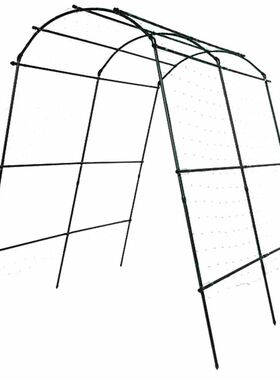菜园黄瓜葡萄架种菜架园艺支架