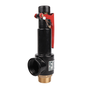 浙江富羽弹簧式安全阀A27W-10T/16T储气罐锅炉高压阀安全阀泄压阀