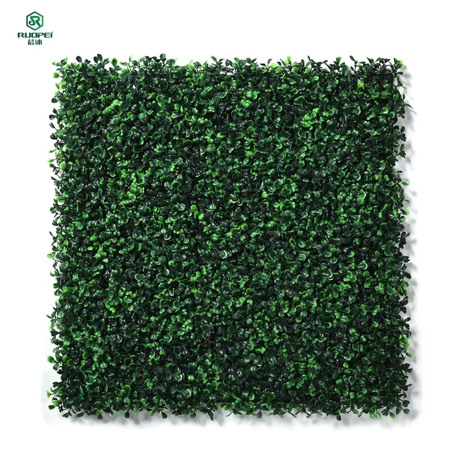 Pe 50*50cm Plastic Hedge Artificial Buxus Mat For Garden,Wall Cover Buy High Quality