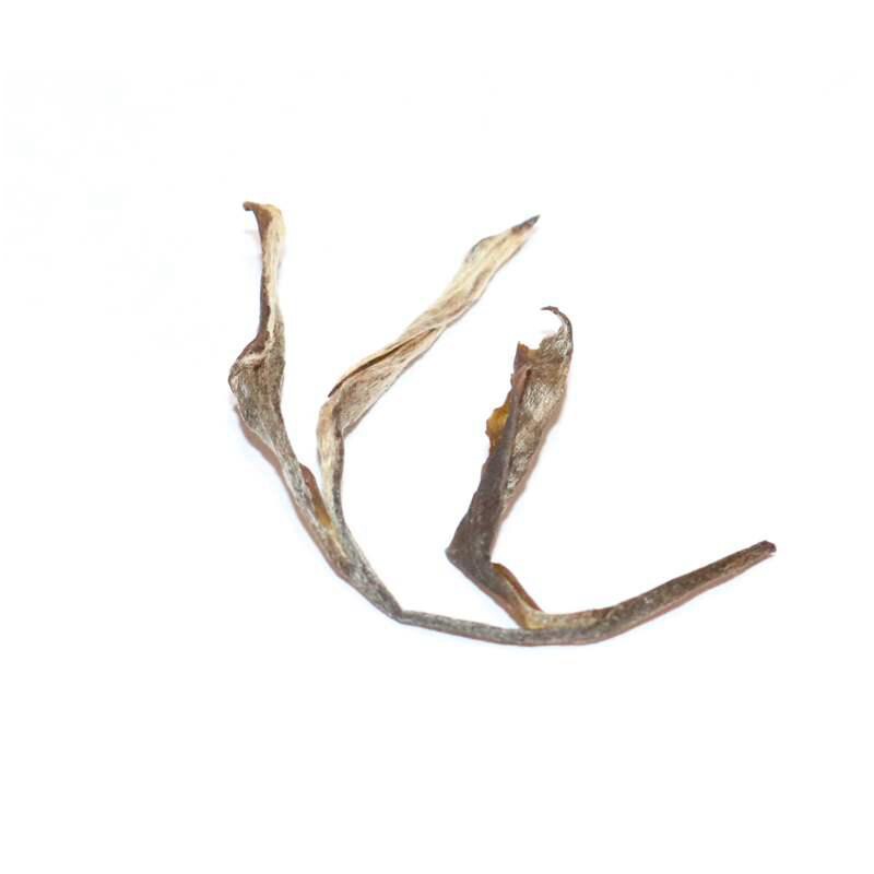 无量山普洱茶普洱茶生茶