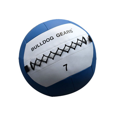 ironwod彩色私教健身球