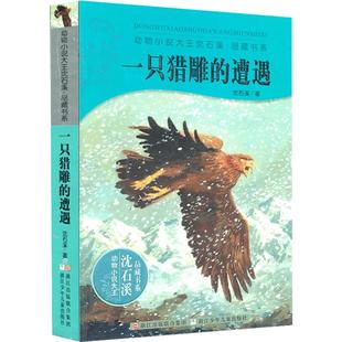 动物小说大王沈石溪品藏书系升级版全套6册:狼王梦斑羚飞渡雪豹悲歌最后一头战象第七条猎狗一只猎雕的遭遇中小学生课外读物