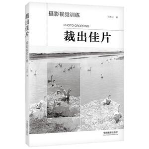 裁出佳片 丁允衍 著 摄影艺术（新）艺术 新华书店正版图书籍 中国摄影出版社