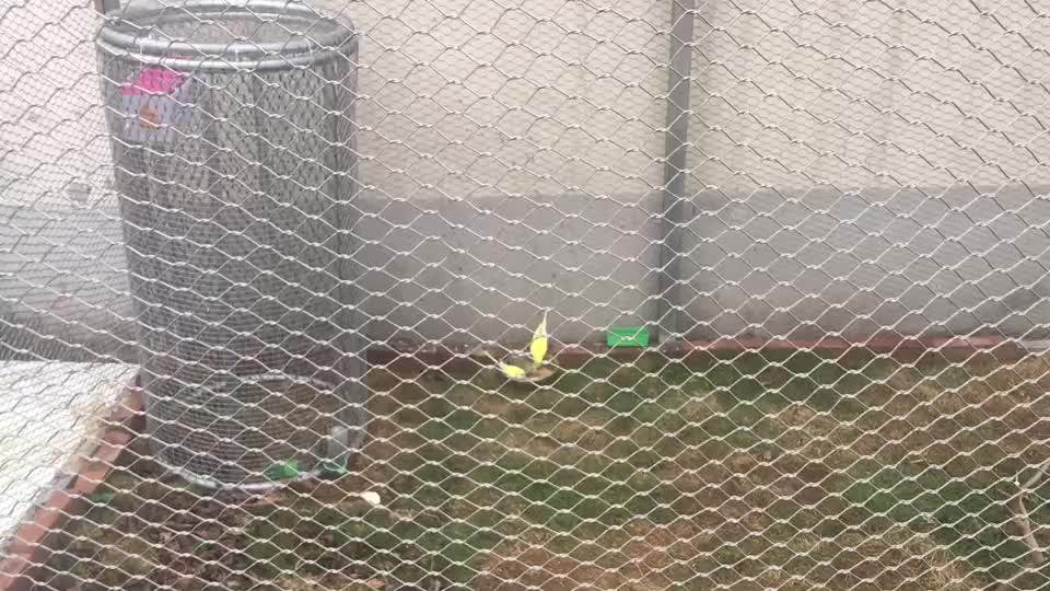 Zoo Enclosure Ss Rope Netting Cage House Sky Mesh Inox Wire Rope Mesh