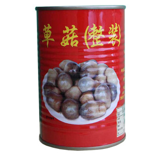 裕伟新鲜整粒草菇罐头400g中西泰餐粤菜冬阴功炒菜馏炖汤火锅食材