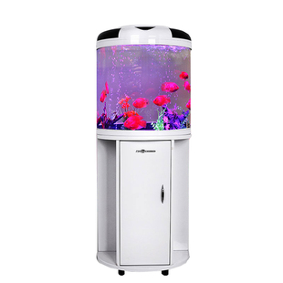 闽江半圆形生态金鱼缸靠墙圆柱中小型创意造景客厅家用玻璃水族箱