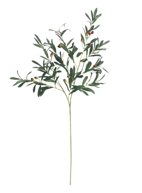 花草橄榄枝带果绿植场地配叶假