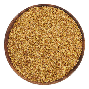 黄谷子 带壳小米 粟谷 虎皮牡丹鹦鹉 文鸟鸟粮 鸟食饲料 5斤包邮