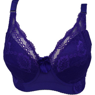 新款安琪芬文胸 安琪芬2808上托型文胸 聚拢侧收型内衣文胸