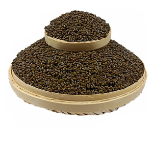 决明子20斤散装枕芯填充用家用小孩决明子玩具沙池子沙滩玩具套装