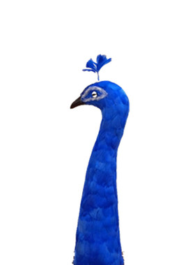 餐厅仿真摆件创意婚庆道具孔雀