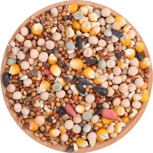 B级鸽粮有玉米营养赛飞饲料信观赏鸽子粮食鸟食20斤包邮10kg