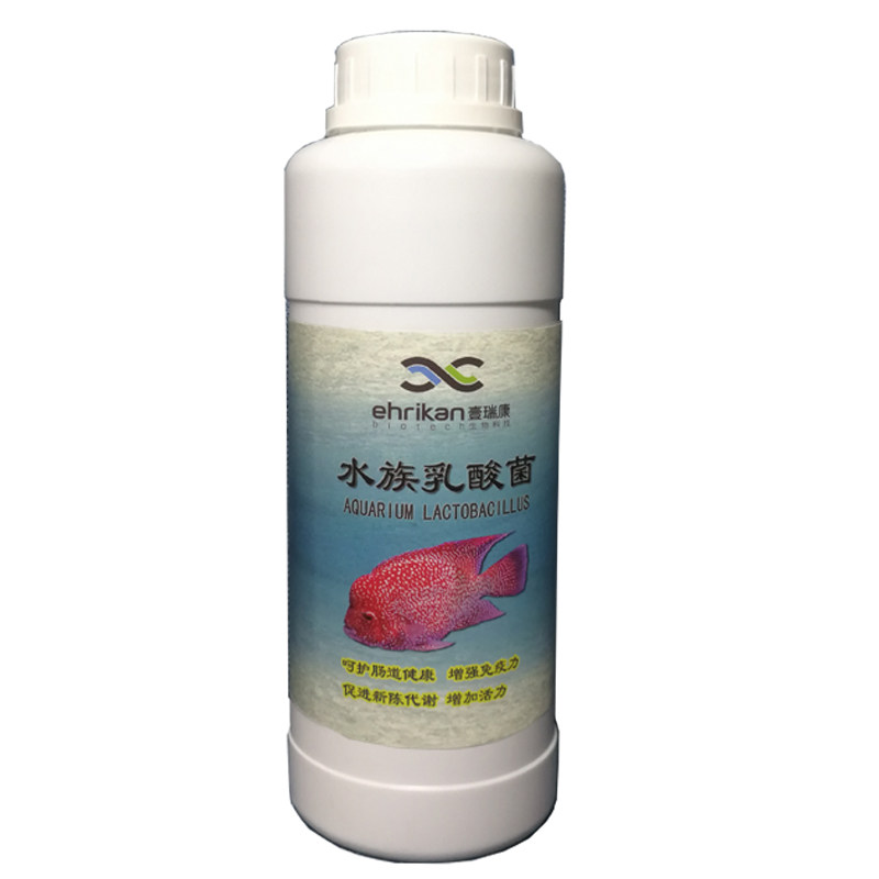 壹瑞康喂奶鱼锦鲤鱼池净化水质稳