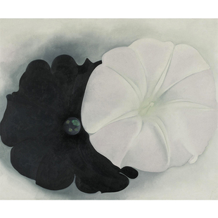 黑色和白色牵牛花 Georgia O'Keeffe 欧姬芙 艺术装饰画 客厅玄关