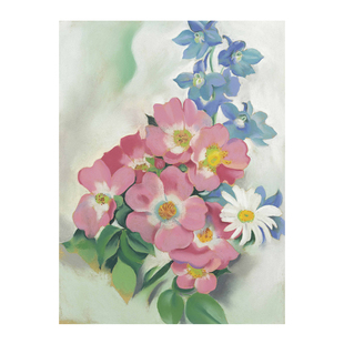 粉蔷薇和翠雀花 Georgia O'Keeffe 欧姬芙艺术装饰画客厅书房玄关