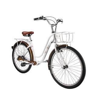 台湾佳德兴无链条都市复古公主休闲自行车淑女车通勤单车花语一号