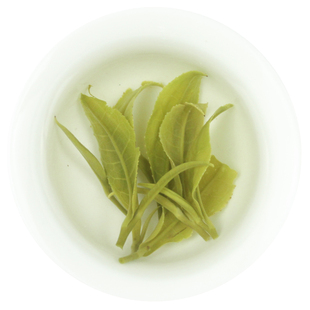 2025上虞辉白茶叶珠茶便宜茶叶上坞山嵊州泉岗绿茶珠茶浓500g袋装
