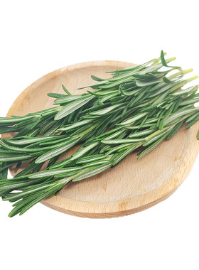 新鲜迷迭香 提神醒脑香料 西餐调料艾菊 匍匐迷迭香食用香草 100g