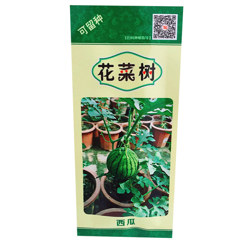 西瓜种子水果农家植物盆栽阳台