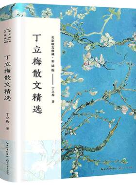 丁立梅散文集 正版丁立梅的书经典散文精选小说文集名家作品书籍比时光更坚强清欢捡得一颗欢喜心让梦想拐个弯初中长江文艺出版社