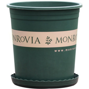 矮胖新加仑盆二代树脂塑料花盆特价处理清仓包邮加厚大号绿萝花盆