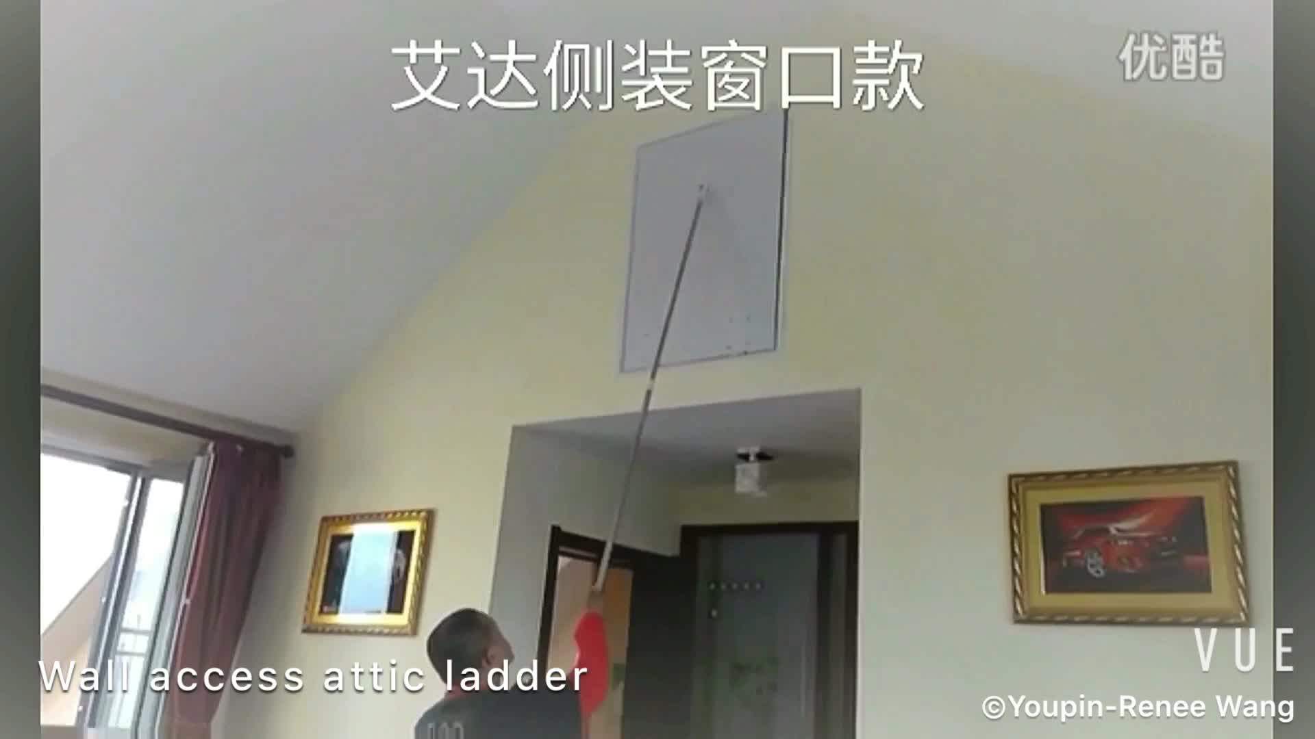 Wall Access Attic Vertical Opening Ladder Buy Vertical Ladder,Attic