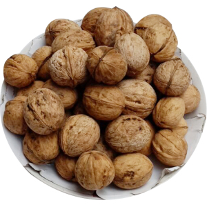 薄皮核桃壳新鲜货纸5斤原味大坚干果散装孕妇琥珀山肉仁野生零食