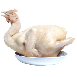 海南精品文昌阉鸡潭牛农家喂养360天冰鲜白切鸡散养土鸡顺丰包邮