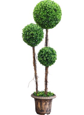 仿真植物塑料草球加密大盆景田园