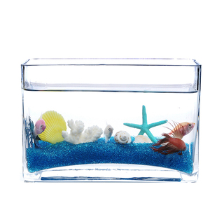 透明玻璃金鱼缸长方形客厅小型 生态桌面迷你水族箱金鱼缸造景