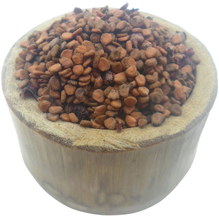 野桃金娘苗稔子苗野果苗山当泥果念子乌捻子树苗山新鲜桃金娘种子