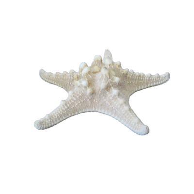 8-12cm霸王玻璃地中海风格摆件