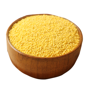 2025新米陕北特产大黄米软糜子米粘糯小米包粽子年糕米黍米500克