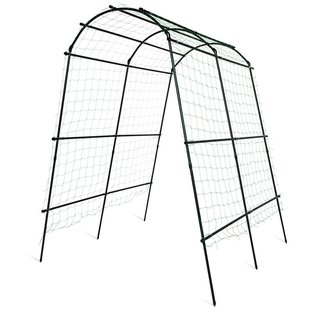 菜架子种菜葡萄园艺支架攀爬藤架西瓜爬藤架子支撑豆角架黄瓜杆