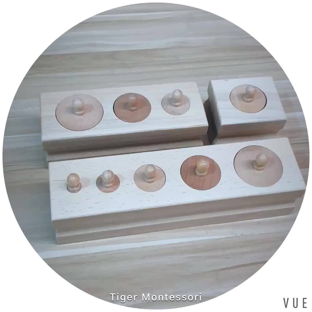 The Wooden Educational Toys Montessori Materials Montessori Educational