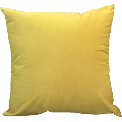 北欧风抱枕沙发靠垫天鹅绒抱枕套办公室腰靠枕垫床头靠背垫护腰垫