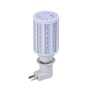 迅猛龙同款补光灯猪肉铺网红彩色灯笼灯泡主播视频拍照氛围情调灯