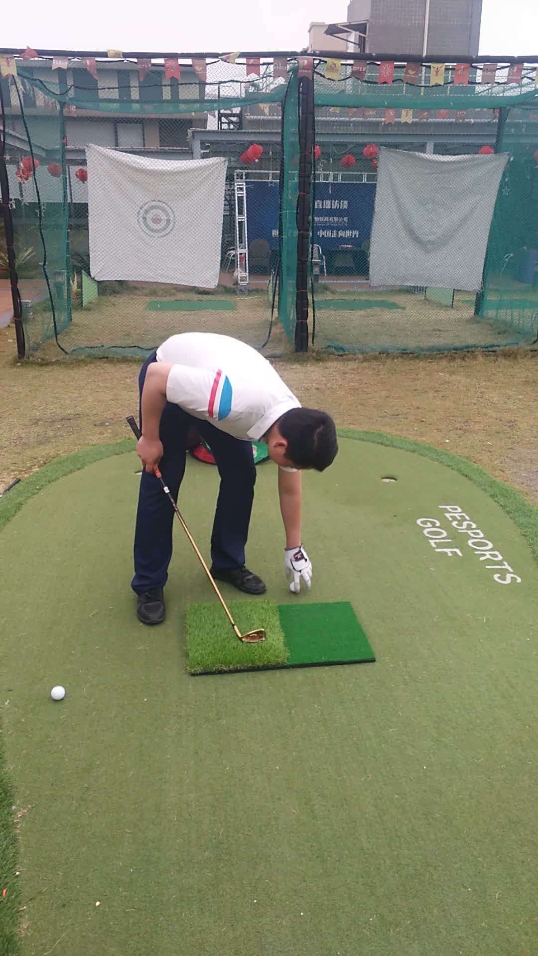 Golf Hitting Mat 16x25 Inch Indoor Training Putting Pad Swing Practice