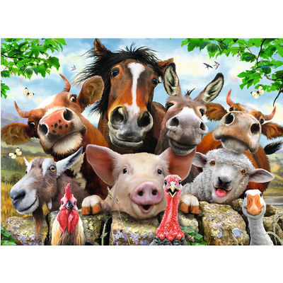 动物现货自拍300片德国进口