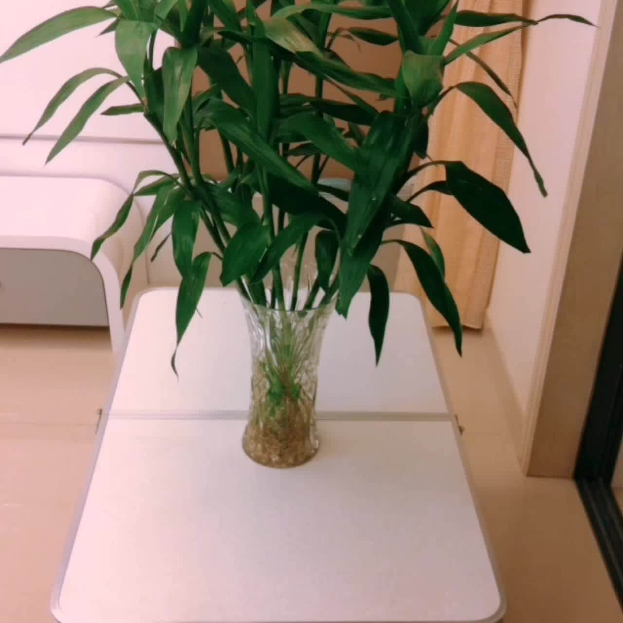 1.2m Portable Lightweight Aluminum Folding Camping Table Outdoor Height