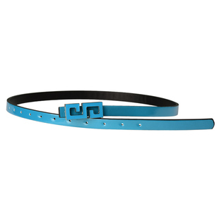 民生银行腰带2020年新民生银行湖蓝色新款皮带连衣裙腰带