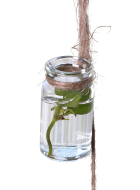 麻绳水培植物阳台庭院悬挂饰吊瓶