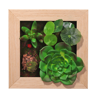 20X20方形绿植壁挂框 实木框壁饰客厅餐厅咖啡馆仿真多肉植物壁挂