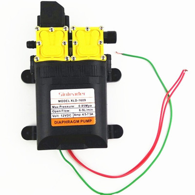 大功率12V双核动力水泵 农用电动喷雾器改装双泵高压 打药洗车