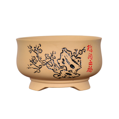 紫砂陶瓷花盆多肉菖蒲创意